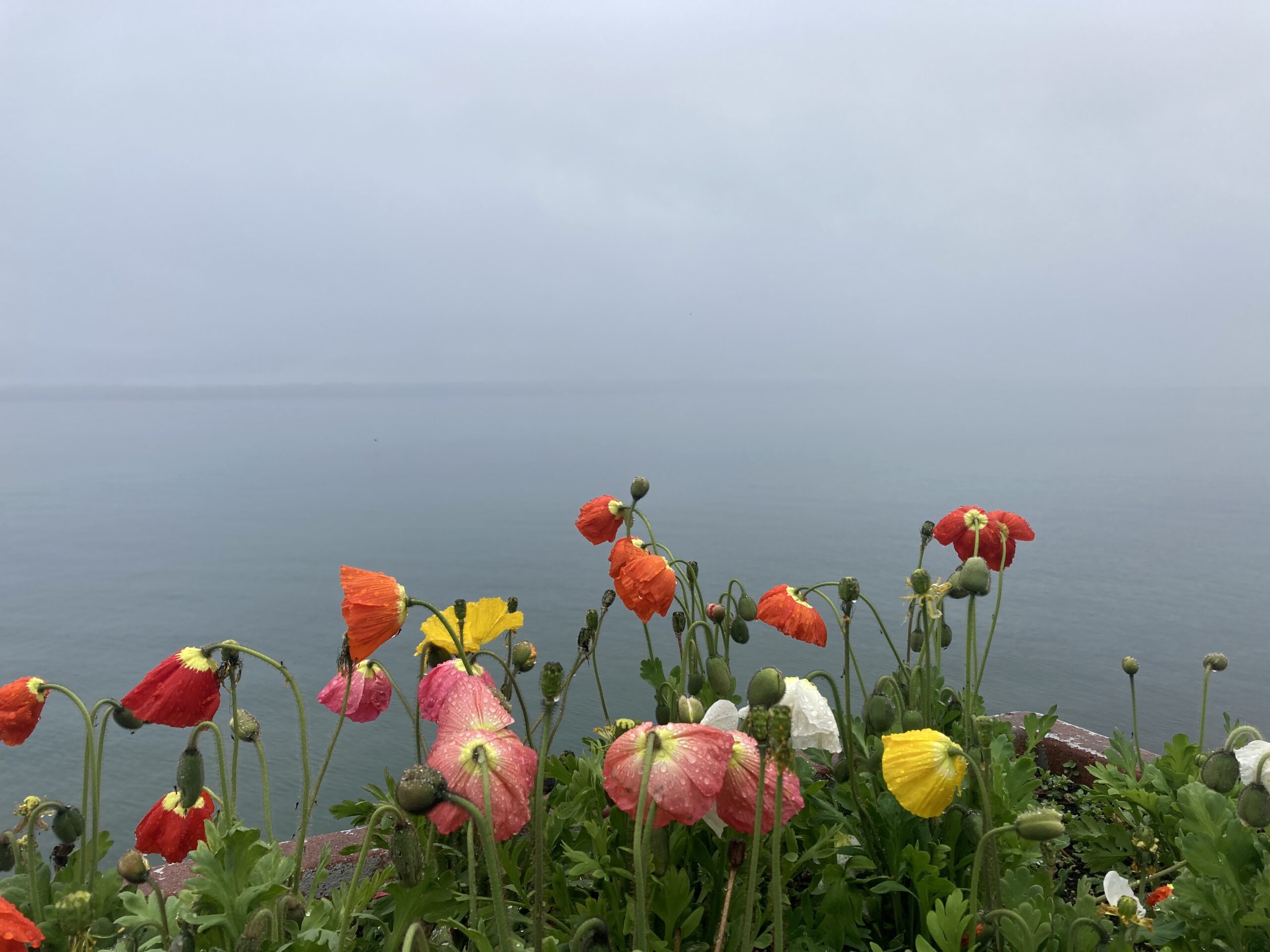 Jälkiä marraskuusta. Liikkeellä marraskuussa. Tervetuloa 14.–20. kesäkuuta!
