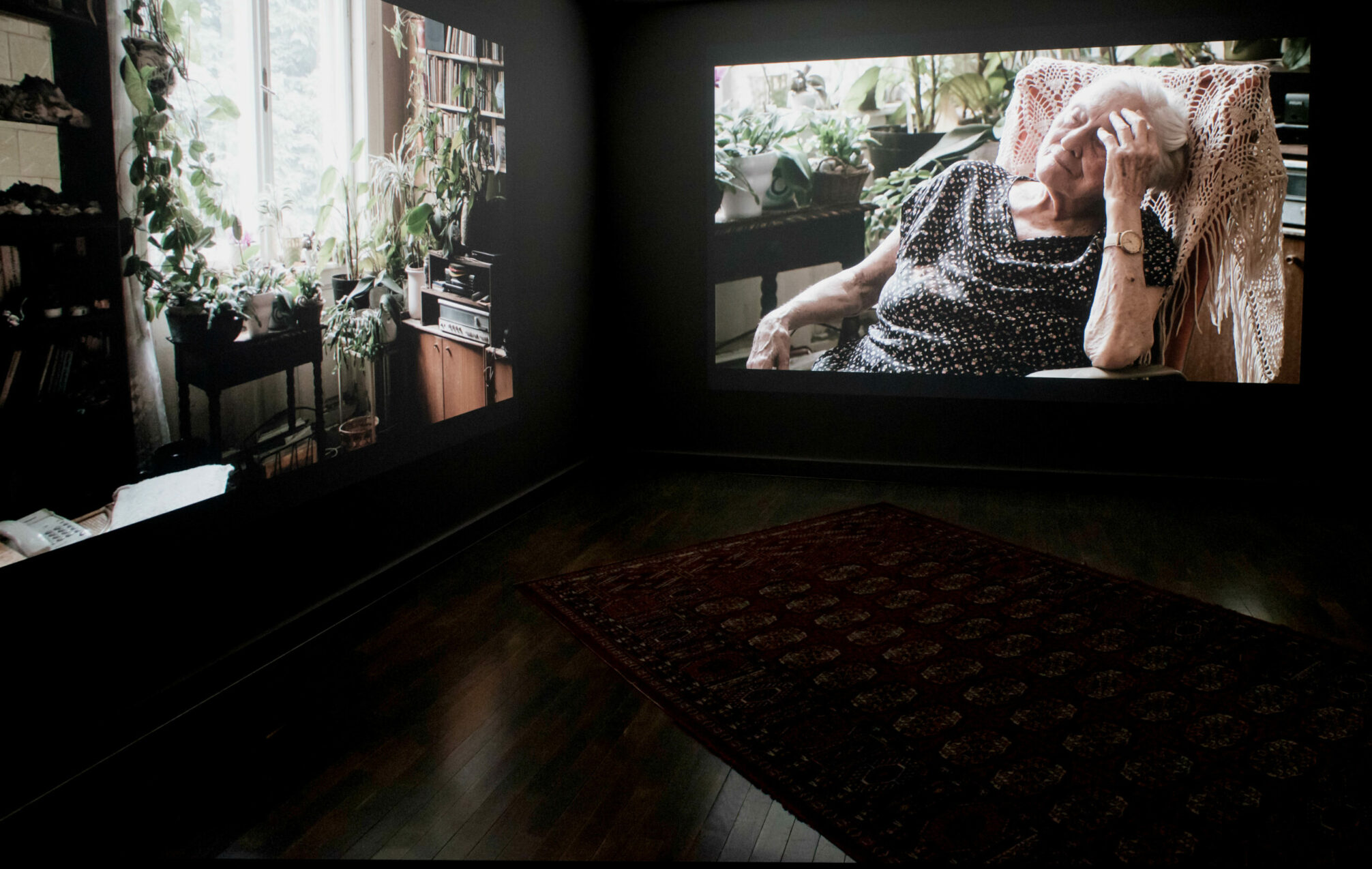 Keskustelu Boglárka Börcsökin ja Kerstin Schrothin välillä