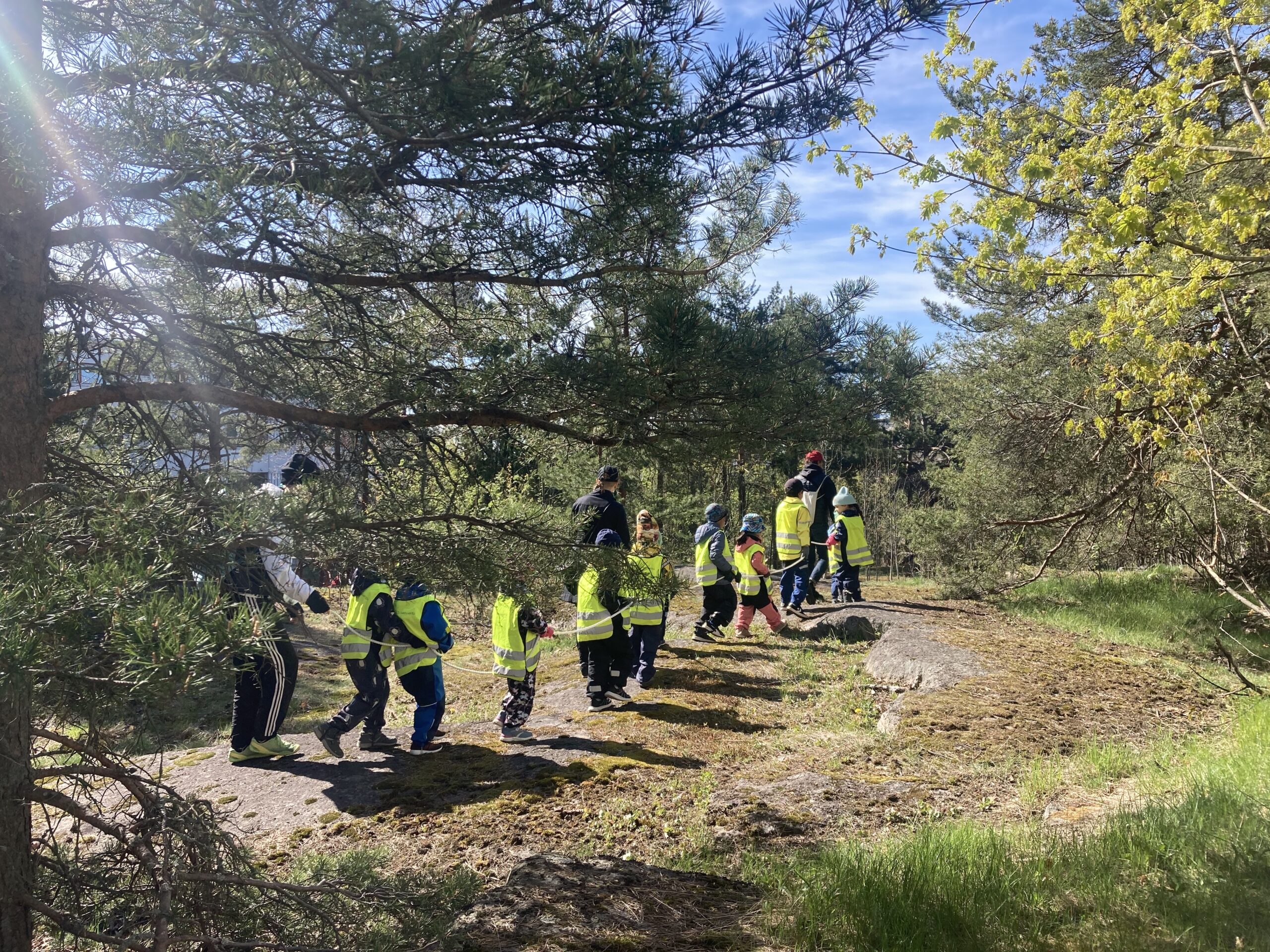 Liikkeellä marraskuussa kevätversio on tullut päätökseen. Kiitos jaetusta hetkestä!