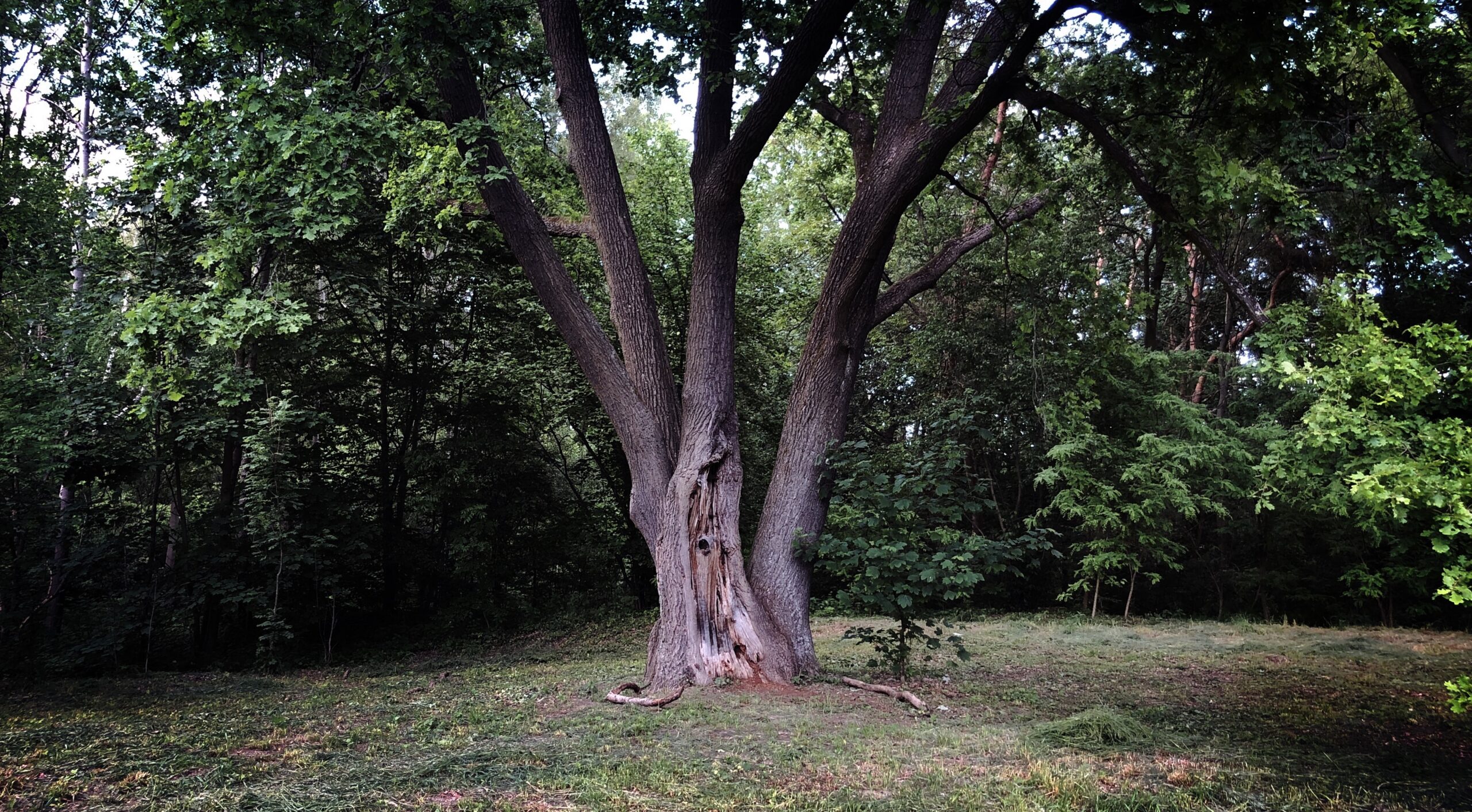 Jälkiä marraskuusta 16.–27.5. Liikkeellä marraskuussa kevätversio.
