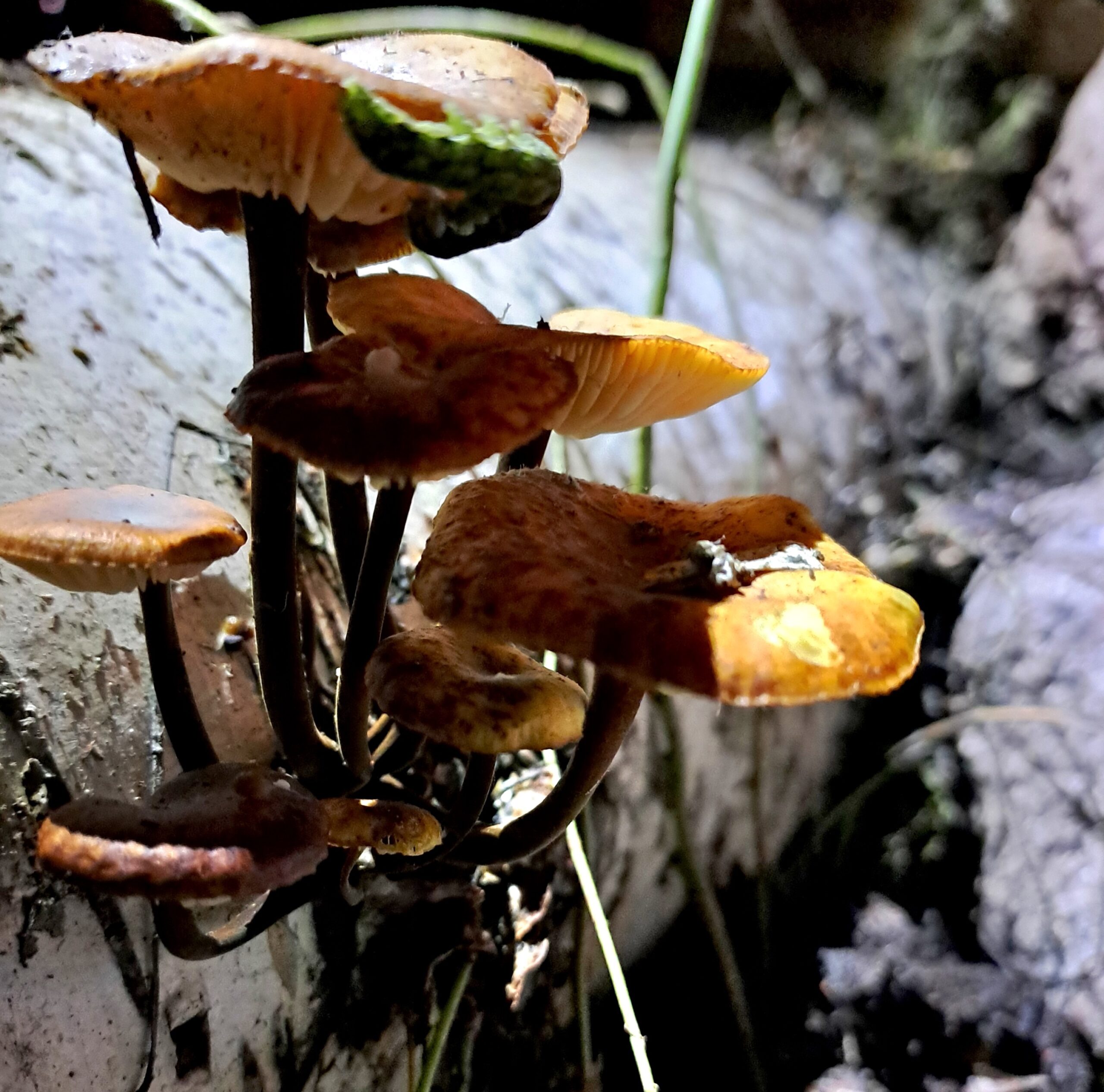 Instant reflections II – Nina Vurdelja