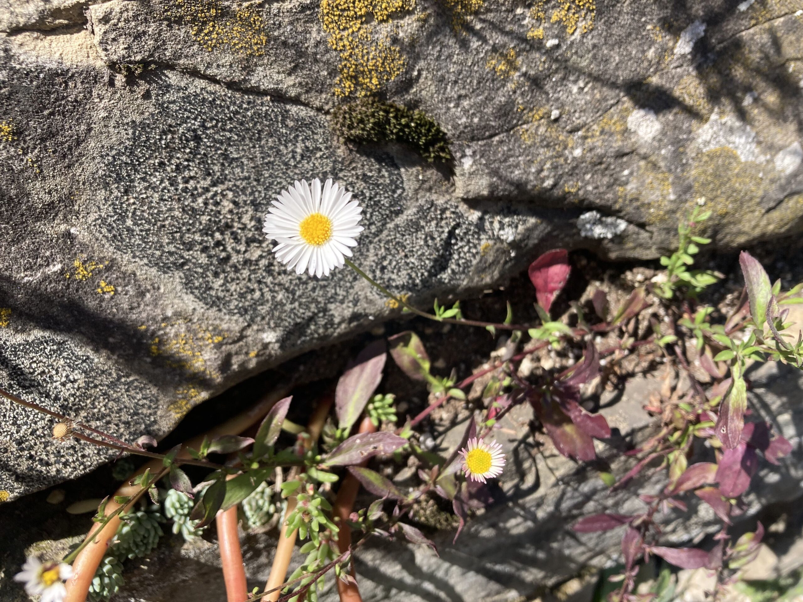 Huomioita ohjelmistosta – Liikkeellä marraskuussa 2025